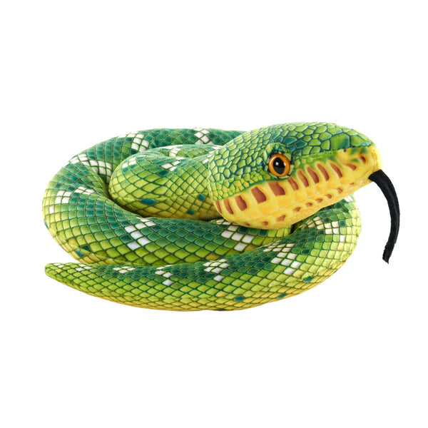Green Snakes Emerald Tree Boa Coiled 36