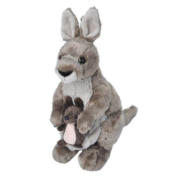 CK KANGAROO