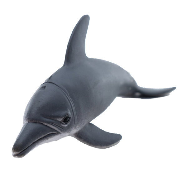 Bottlenose Dolphins Play Free Online Bottlenose Dolphin Games