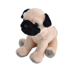 Pocketkins Pug 5"