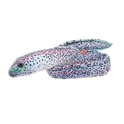 Living Ocean Peppered Moray Eel 54"