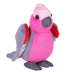 Pocketkins Eco Galah 5"