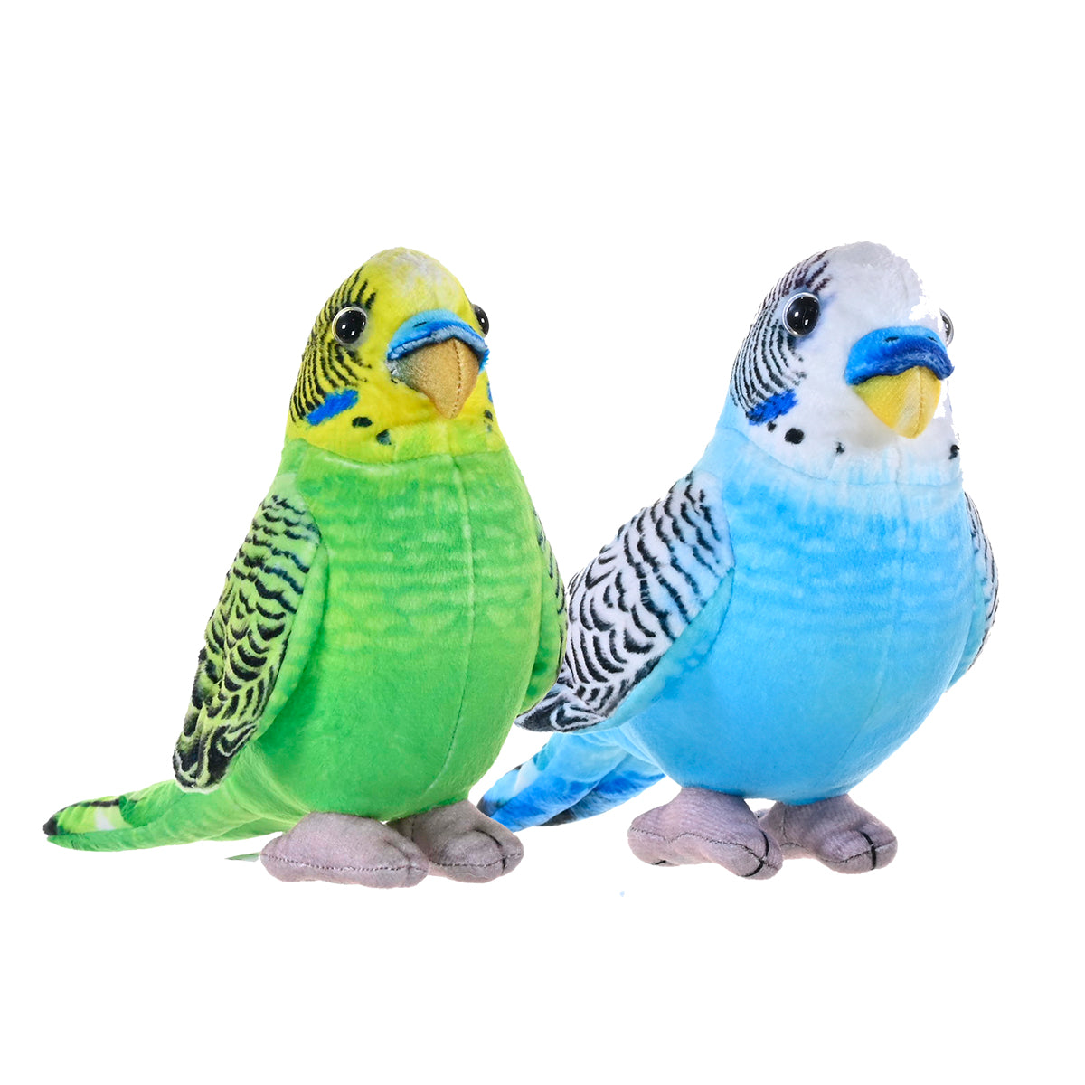 Living Earth Mini Budgie 8