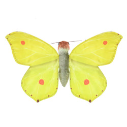 Rainforest Common Brimstone Butterfly Finger Puppet 7"