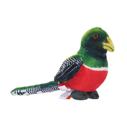 Rainforest Birds Collared Trogon 4.5"