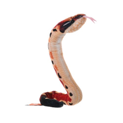 Coilkins Snake Blood Python 12"