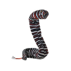 Coilkins Moray Eel Zebra 12"