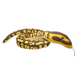Snakesss Eco Ball Python 54"