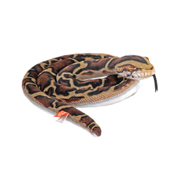 Living Earth Burmese Python 60"