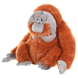Cuddlekins Male Orangutan 12"