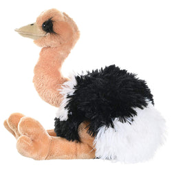 Cuddlekins Ostrich 12"