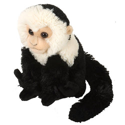 Mini Cuddlekins Capuchin 8"