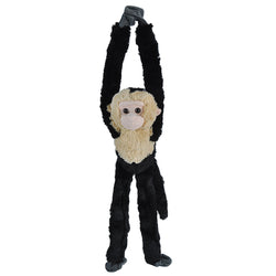 Hanging Capuchin 20"