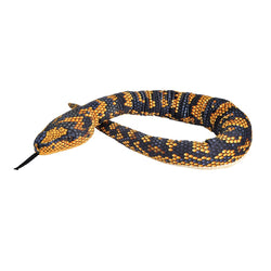 Snakesss Jungle Carpet Python 54"